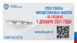 Срок уплаты имущественных налогов - не позднее 1 декабря 2021 года!