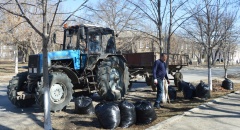 Город расцветает на глазах