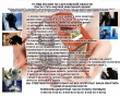 ПАМЯТКА КВАРТИРНЫЕ КРАЖИ 2019