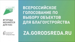 До конца голосования в нацпроекте «Жильё и городская среда» осталась неделя