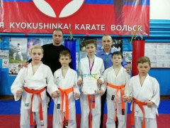 Первенство Саратовской области по киокусинкай каратэ