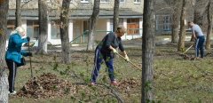 Коллективный труд на благо родного города
