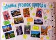 Любимый уголок природы