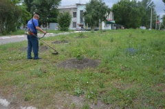 ТРАВА У ДОМА